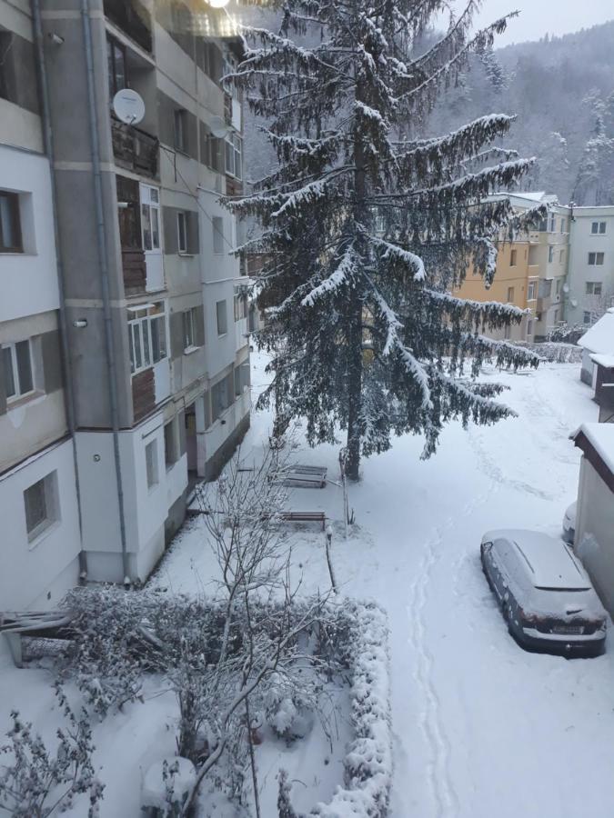 Apartament Aurora Slănic-Moldova Exteriér fotografie