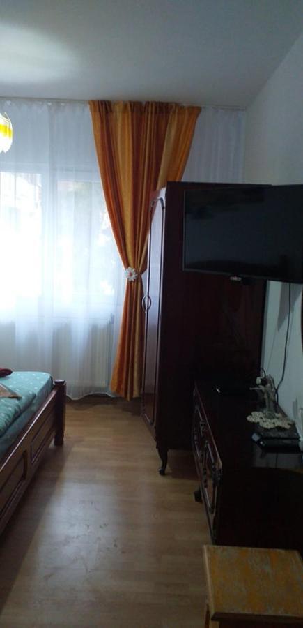 Apartament Aurora Slănic-Moldova Exteriér fotografie