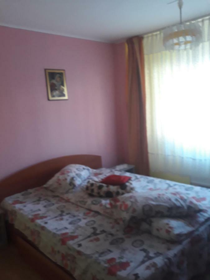 Apartament Aurora Slănic-Moldova Exteriér fotografie